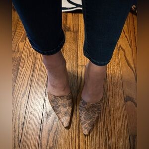 BCBGirls Shimmery Pointed-Toe Kitten Heel Mules